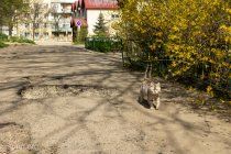 микрорайон &quot;Северный&quot; в Бендерах